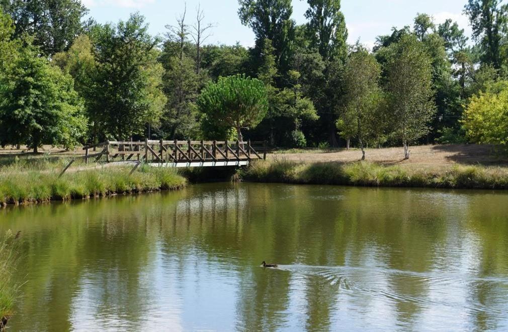 Gite L'Atelier Bois Gailleres Exteriér fotografie